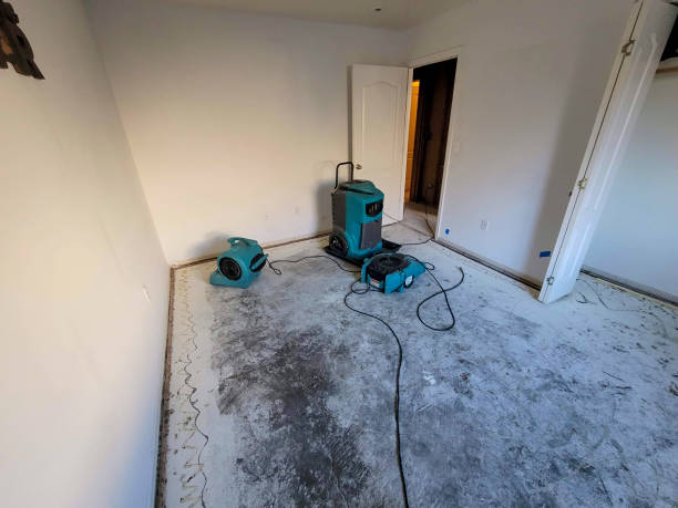 Best Sewage cleanup and water damage restoration  in Seven Points, TX