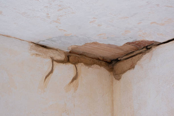 Best Basement water damage restoration  in Seven Points, TX