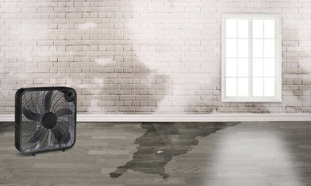 Best Water damage restoration near me  in Seven Points, TX