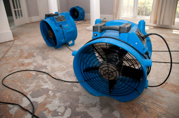 Seven Points, TX Water damage restoration Pros