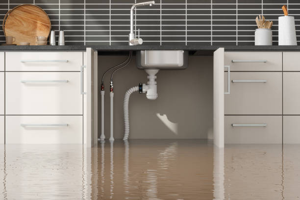 Best Water damage restoration process  in Seven Points, TX